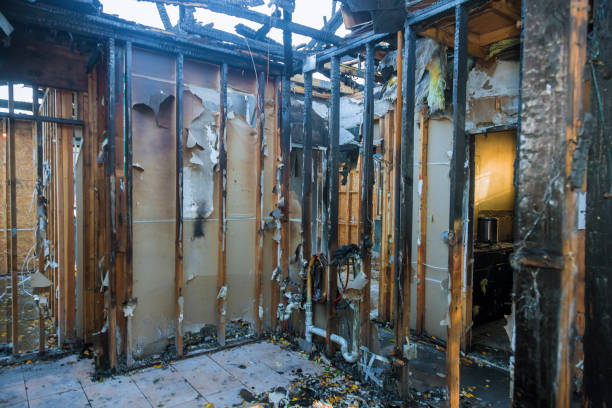 Professional Fire Damage Removal technician working in South Beach, FL
